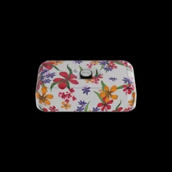 Lunch Box*24 Bottles Amnesia