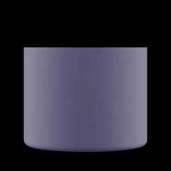 Spin Bottle*24 Bottles Dusk 480 ml