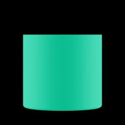Clima Bottle*24 Bottles Mint 500 ml