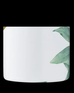 Travel Tumbler*24 Bottles Tivoli 350 ml